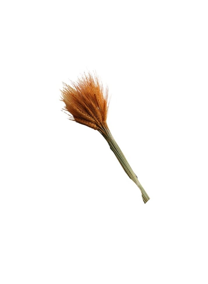 Natural Dried Wheat Grass Bundle Artificial Wheat Dried Flowers (Orange, 50) - Image 4