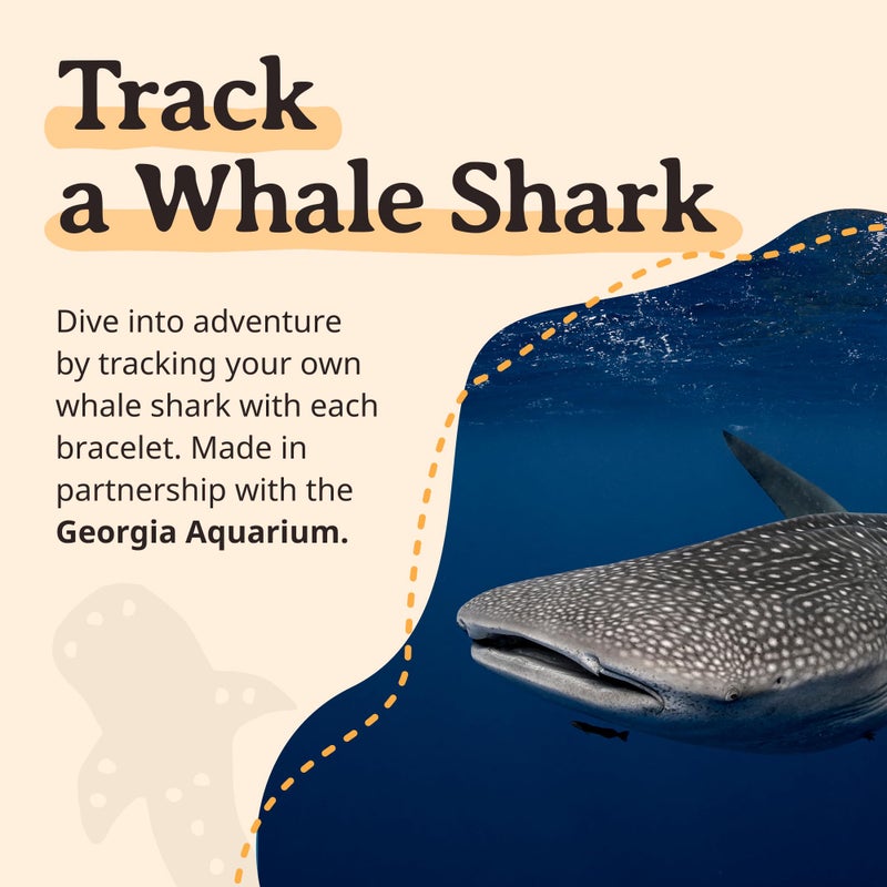 Fahlo Whale Shark Tracking Bracelet â€“ Track a Real Whale Sharkâ€™s Journey â€“ Supports Wildlife Conservation â€“ Elastic, One Size Fits Most â€“ on Interactive Mobile App Map â€“ Unisex Conservation Gift (Ocelli Stone) - Image 4