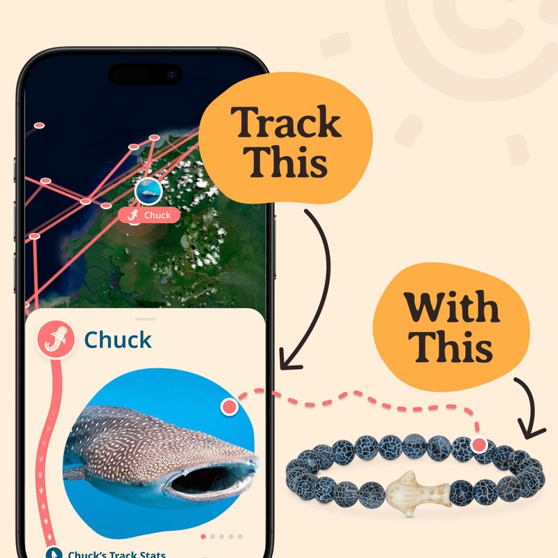 Fahlo Whale Shark Tracking Bracelet â€“ Track a Real Whale Sharkâ€™s Journey â€“ Supports Wildlife Conservation â€“ Elastic, One Size Fits Most â€“ on Interactive Mobile App Map â€“ Unisex Conservation Gift (Ocelli Stone) - Image 2