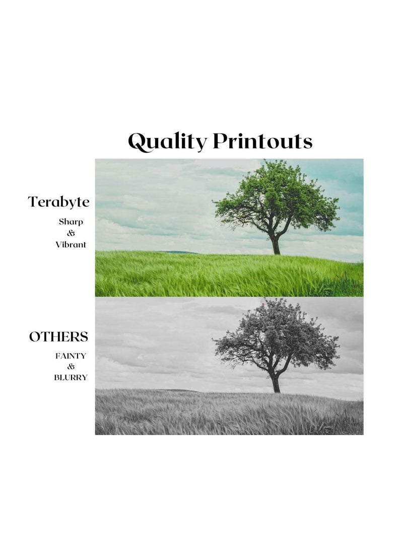 Terabyte GPR36/NPG52/EXV34 COMPATIBLE TONER  4 COLORS  - Image 2