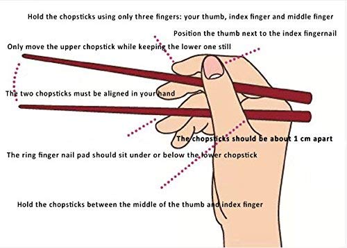 MYPS Designer Printed Round Stainless Steel Reusable Chopsticks for Chinies Food - Image 3