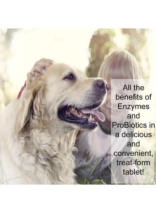 NWC Naturals Total-Zymes PLUS Vegetarian Digestive Enzymes for Dogs & Cats, Supports a Healthy Digestive Tract & Immune System, Advanced Probiotics & Prebiotics- 100 Chewable Tablets by NWC Naturals - Image 1