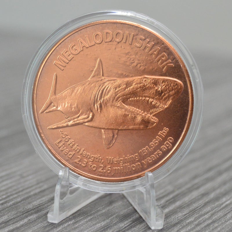 Heavenly Metals Megalodon Shark 1 oz Pure .999 Copper Round Collecticble 39mm Challenge Coin in Capsule - COA by Heavenly Metals - Image 3