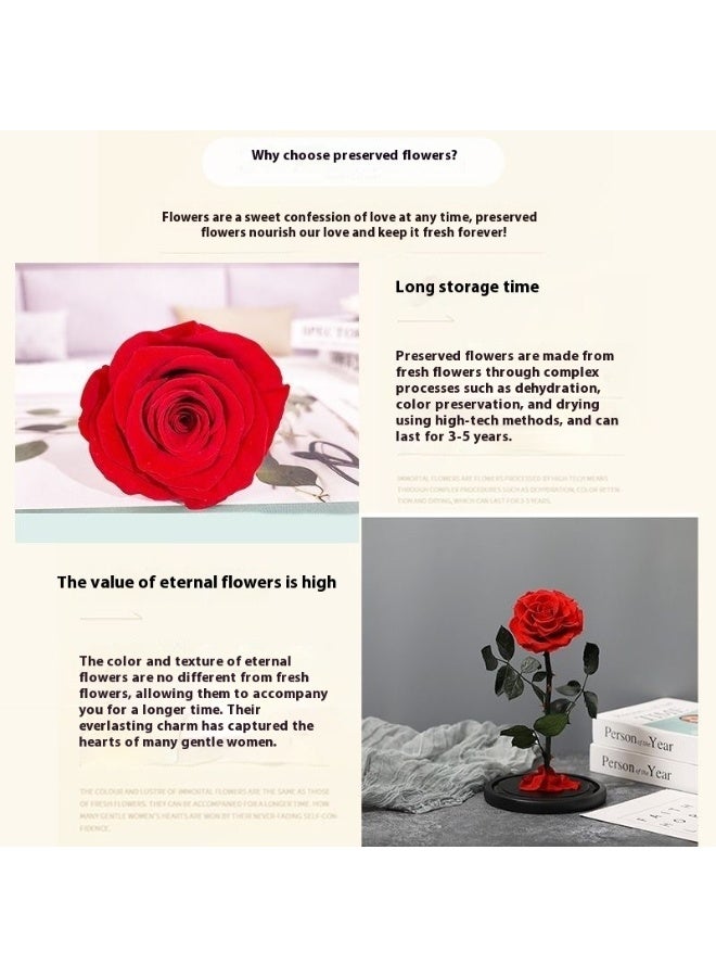 وردة حمراء محفوظة، غطاء زجاجي، ضوء (قاعدة مع مفتاح)، عملية حفظ خاصة، تغليف صندوق هدايا، زينة سطح المكتب، هدايا عيد الميلاد، هدايا التخرج، هدايا عيد الحب، ديكور المنزل، زينة السرير، هدايا راقية - Image 3