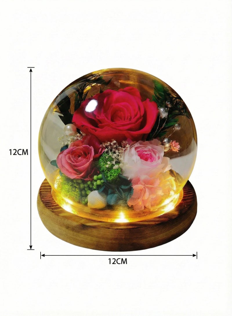 زهور محفوظة - وردة حمراء في قبة زجاجية بمصباح LED (قاعدة بلمفتاح) - لمناسبات عيد الميلاد/التخرج/اليوم العاطفي - Image 3