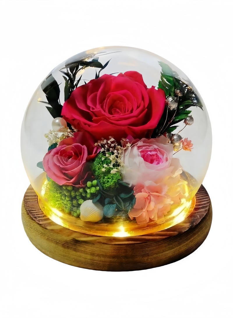 Preserved Flowers -Red Rose in Glass Dome with LED Light (Switch Base) - for Birthday/Graduation/Valentine's Day - Image 1