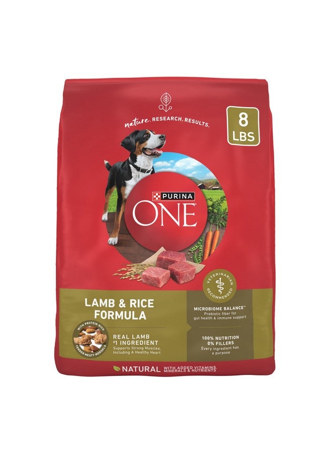 Purina ONE Purina ONE Dry Dog Food Lamb and Rice Formula - 8 lb. Bag - Image 1