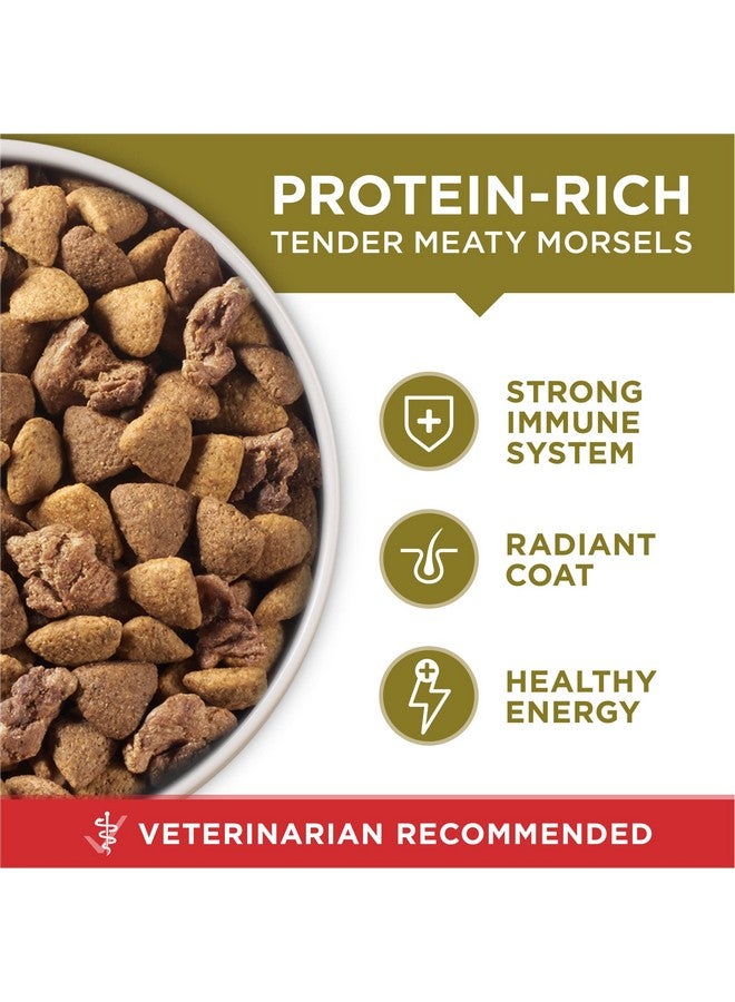 Purina ONE Purina ONE Dry Dog Food Lamb and Rice Formula - 8 lb. Bag - Image 2