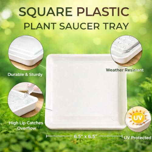 ShopMeFast Square Plant Saucer/Bottom Tray Suitable for 6 Inch Plastic Pot, Base Plate of Gamla for Indoor Home Decor and Outdoor Balcony Garden (White, Set of 3) - Image 3