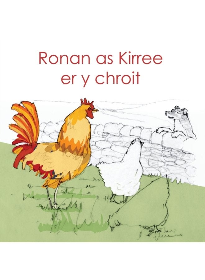 Ronan as Kirree er y chroit - Paperback