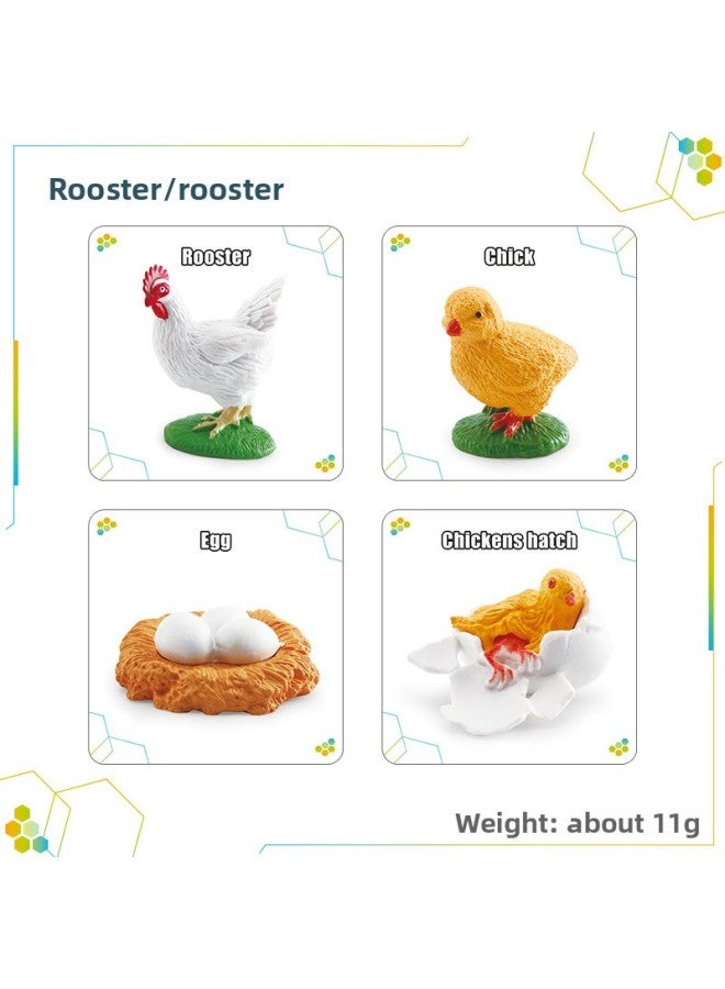 Simulation Kindergarten Children Early Education Cognitive Animal Growth Life Growth Cycle Cock Frog Turtle Card 