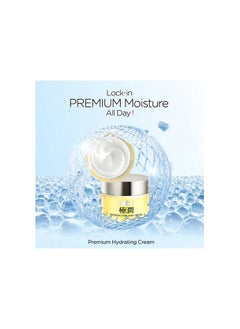 Hada Labo Hada Labo Premium Hydrating Cream 50g (Moisturiser/ Deep Hydration/ Moisturizing/ Nourishing)  - Image 2