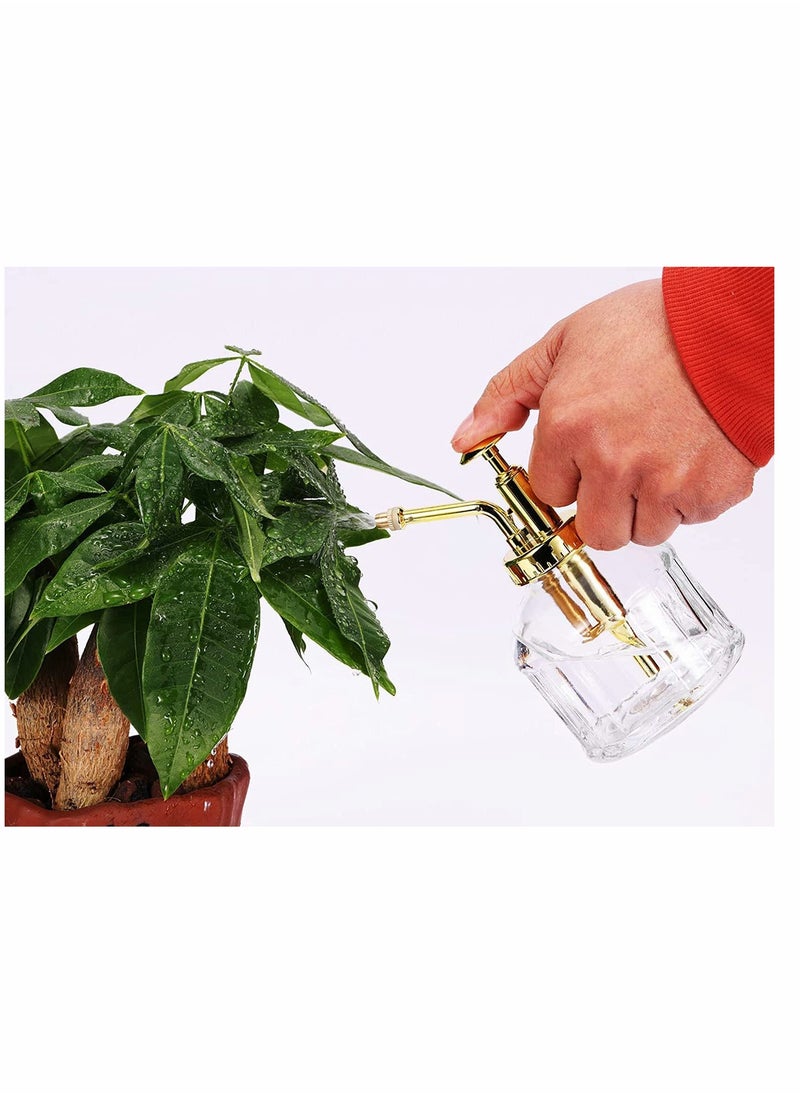 SYOSI Glass Plant Mister Spray Bottle, 6 Inches Clear Glass Water Spray Bottle with Gold Top Pump Small Watering Can, Small Plant Sprayer Mister for Indoor Outdoor House Plant (Clear + Gold)  - Image 2