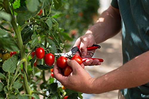 Felco F321 Pruning Snips – 7" Garden Clippers with Curved Blade & Rounded Tip | Pruning Shears for Gardening | Garden Snips and Pruners with Carbon Steel Blade, Sap Groove - Image 2