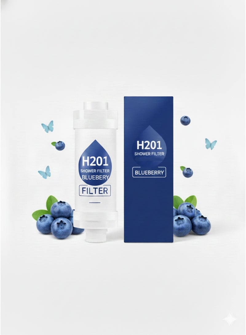 H201 Blueberry scented shower filter - Powered by Vitamin C - Water purifier with triple technology - Ideal shower head filter for treating dry skin and hair loss
