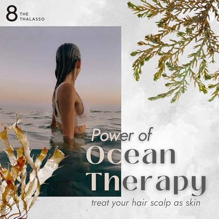 8 THE THALASSO Natural Hair Conditioner for Normal to Oily Hair Women & Men, Moisturizing Hair Care with Organic Stem Cell & Deep Sea Water from Japan, Silicone & Sulfate Free, SMOOTH, 16.06 Fl Oz - Image 2
