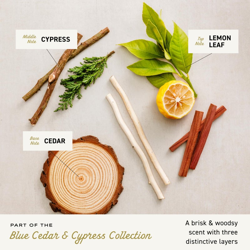 cremo غسول الجسم كريمو للرجال، عطر خشبي مع لمحات من قشر الليمون، السرو والأرز، 16 أونصة سائلة - Image 3