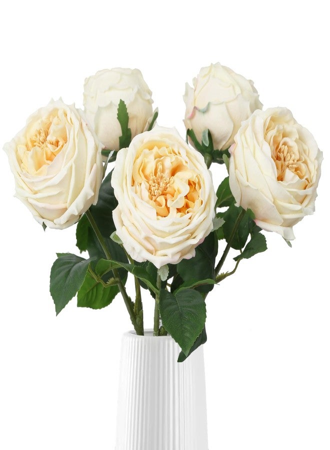 IPOPU 5PCS Real Touch Austin Roses Champagne Flowers Peony Artificial Flowers Fake Roses with Stems for Wedding Bouquet Party Home Decor(Champagne) - Image 1
