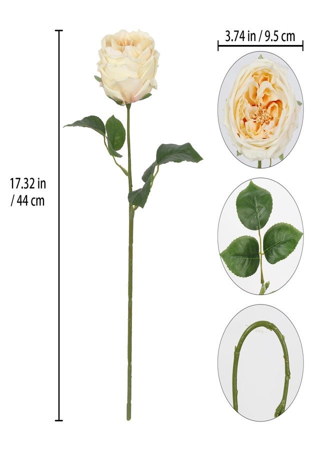 IPOPU 5PCS Real Touch Austin Roses Champagne Flowers Peony Artificial Flowers Fake Roses with Stems for Wedding Bouquet Party Home Decor(Champagne) - Image 3