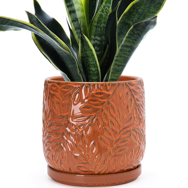 D'vine Dev 8 Inch Embossed Leaves Stoneware Planter Pot with Drainage Hole and Saucer, Pumpkin, 27-A-Q-J - Image 1