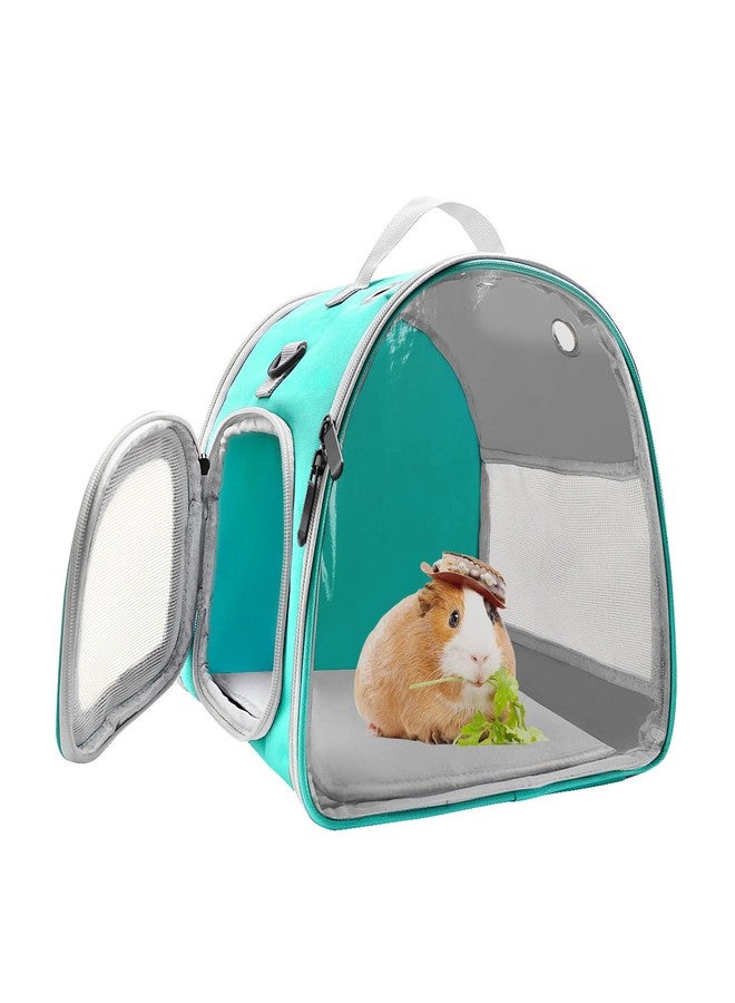 KATOLK Small Animal Carrier Bag, Upgraded Portable Guinea Pig Carriers, Transparent Hamster Carrying Case, Reptile Rat Rabbit Bearded Dragon Hedgehog Carrier Bag for Travel, Hiking, Walking, Outdoor (Green) - Image 1