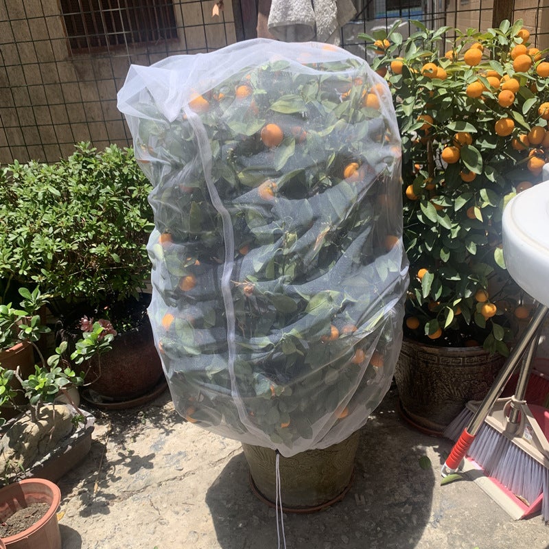 Landscape Tree Insect-Proof Net Flower And Tree Insect-Proof Net Bag Drawstring Drawstring Insect-Proof Bag Flower And Fruit Insect-Proof Net Bird-Proof Net Cover - Image 3