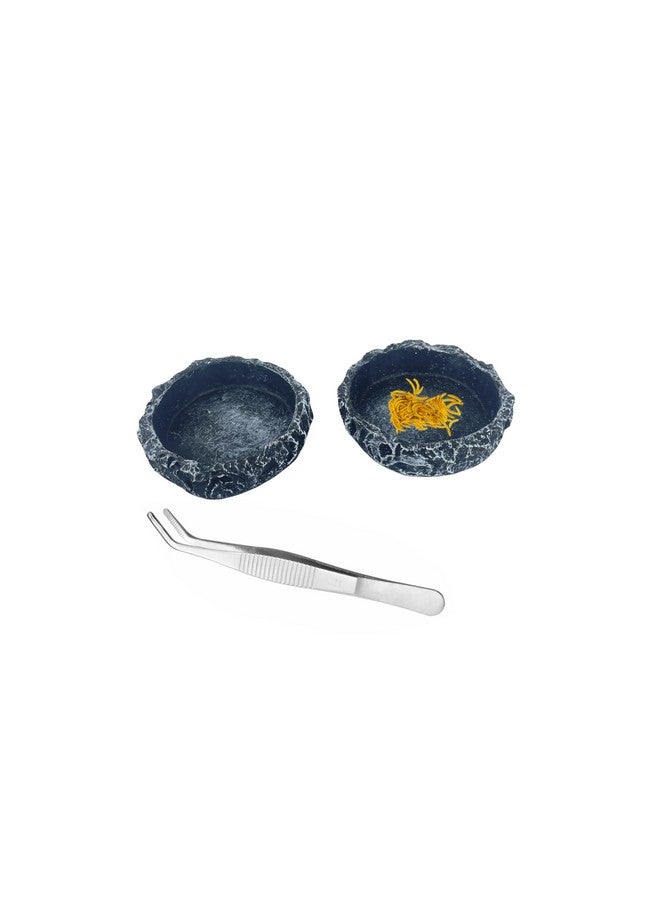 Generic 2PCS Reptile Water Dish Food Bowl Set Reptile Feeder Food and Water Dish with Feeding Tweezers Tong for Leopard Gecko Lizard Frog Snake Chameleon Tortoise  - Image 3