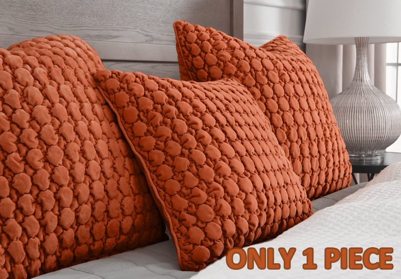 COCOPLOCEUS 1 Piece Euro Sham Rust 24x24 Pillow Covers Decorative Farmhouse Pillow Covers Fall Square Cushion Covers Soft Bubble Texture Euro Shams for Couch Sofa Bedroom Living Room Halloween - Image 2