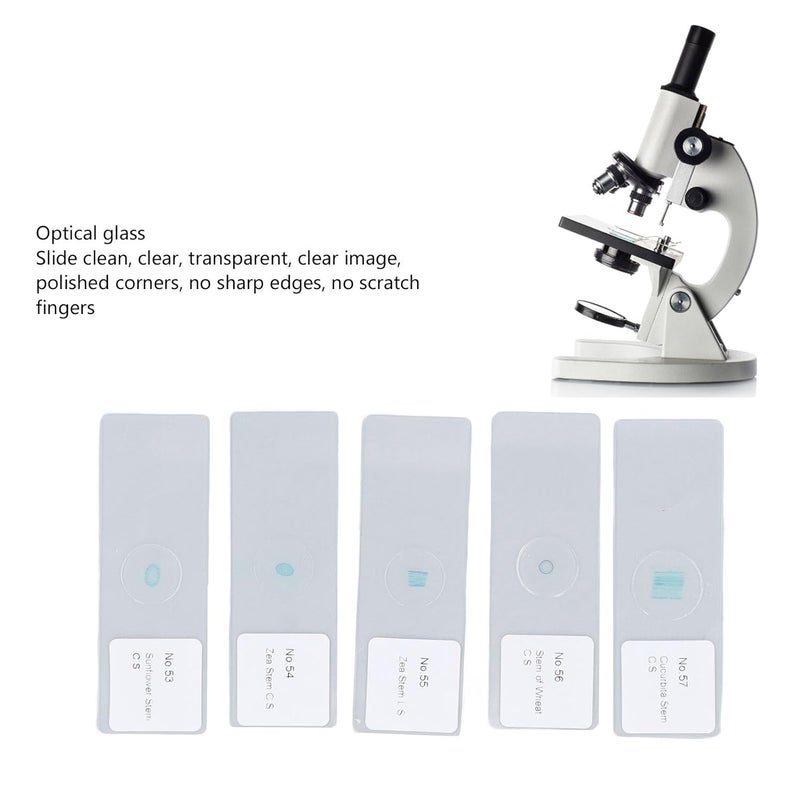 100Pcs Microscope Slides Glass Prepared Specimen Kit with Storage Box for Science Laboratory - Image 4