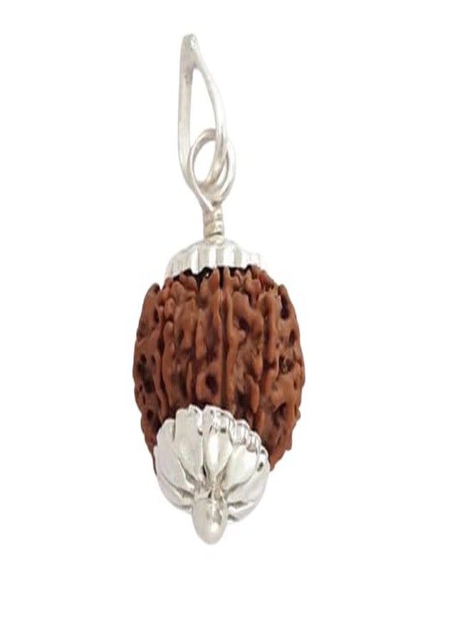 IRIS GEMS Nine Face Rudraksha الأصلي النيبالي المعتمد الطبيعي نيبال 9 Mukhi Rudrakshaa قلادة 9 मुकी रुत्राक्ष नेपाली ओरिगनल Real 9 Faced Rudraksha Nav Mukhi 9 Devi Mata - Image 1