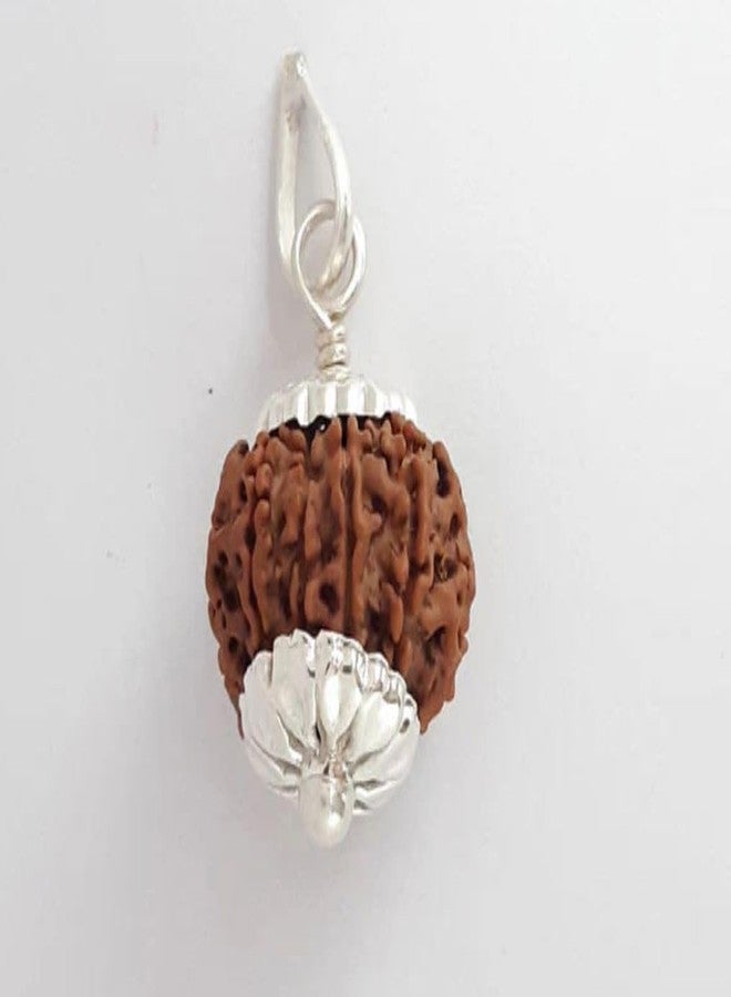 IRIS GEMS Nine Face Rudraksha الأصلي النيبالي المعتمد الطبيعي نيبال 9 Mukhi Rudrakshaa قلادة 9 मुकी रुत्राक्ष नेपाली ओरिगनल Real 9 Faced Rudraksha Nav Mukhi 9 Devi Mata - Image 4
