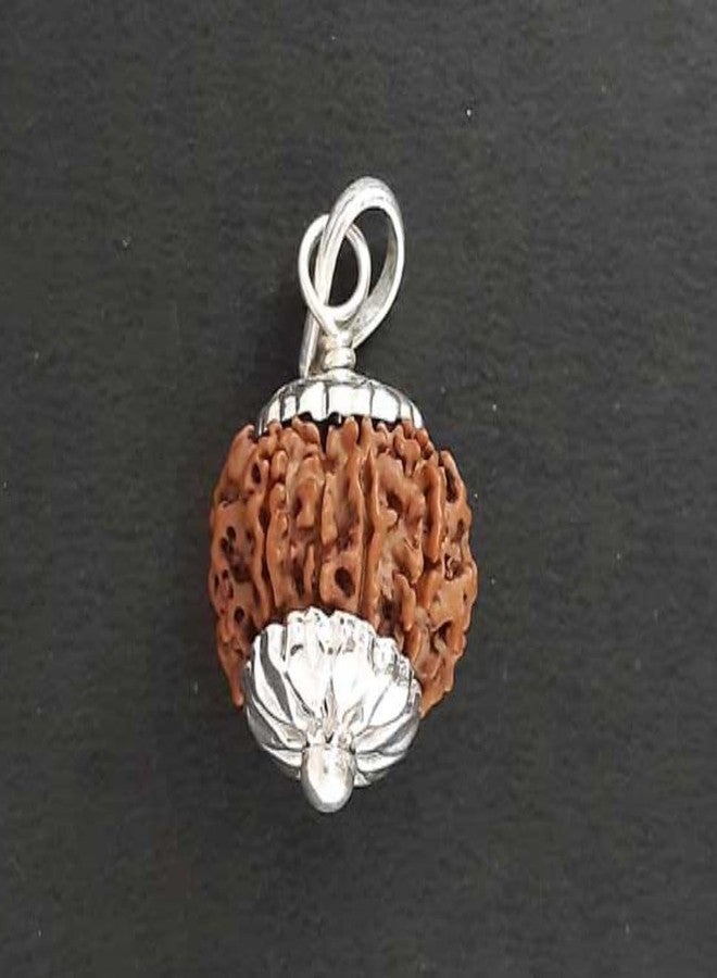 IRIS GEMS Nine Face Rudraksha الأصلي النيبالي المعتمد الطبيعي نيبال 9 Mukhi Rudrakshaa قلادة 9 मुकी रुत्राक्ष नेपाली ओरिगनल Real 9 Faced Rudraksha Nav Mukhi 9 Devi Mata - Image 2