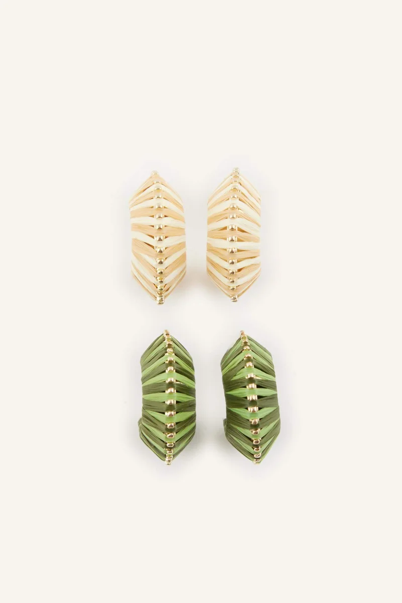 2 piece Earring