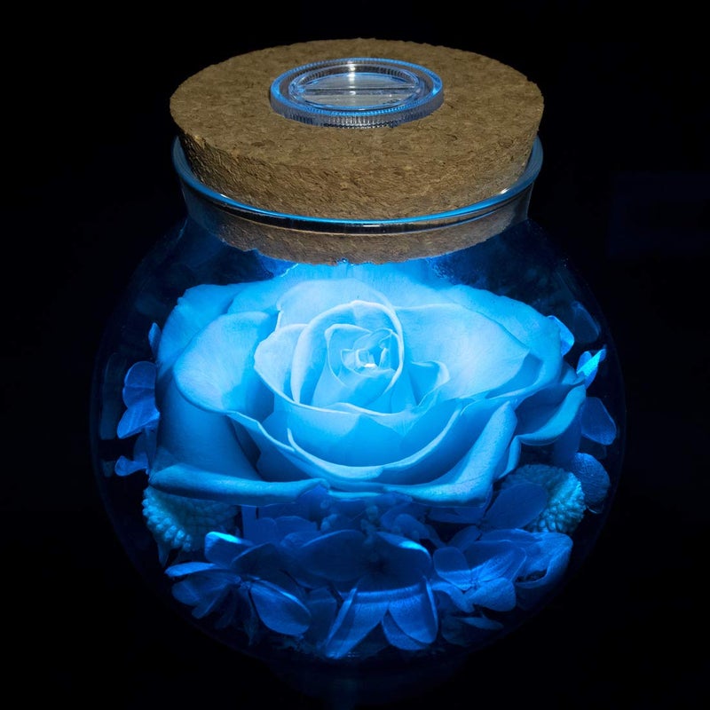 roliys Preserved Real Roses with Colorful Mood Light Wishing Bottle,Eternal Rose，Never Withered Flowers, Christmas Anniversary Valentine's Mother's Day,a Gifts for Women 4.3inch 1pcs（Light Blue） - Image 5