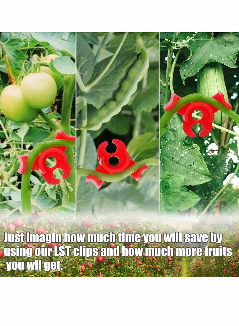 Y&D Plant Bender, 90° Low Stress Training Clip, LST Stem Support Clip for Tomato Stems, Branches, Bonsai Styling, Garden (30 Pcs)  - Image 4