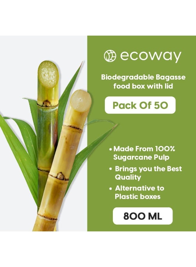 ecoway [800 Ml - 28 Ounce] Food Box Container Made With Bagasse Sugar Cane Fibers For Meals & Dessert, Take Away Container, Disposable, Eco-friendly, Compostable, Restaurants - Pack Of 50, White - Image 2