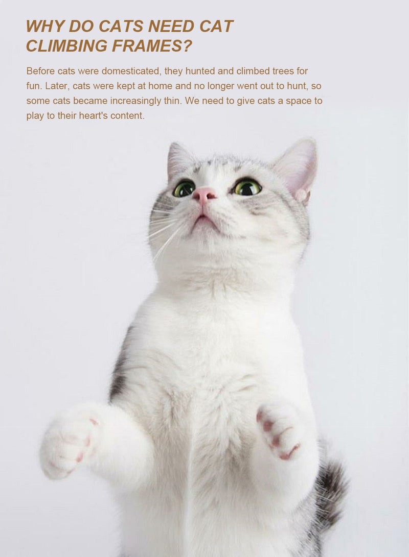 كيدل القط شجرة كبيرة تسلق الإطار - Image 3