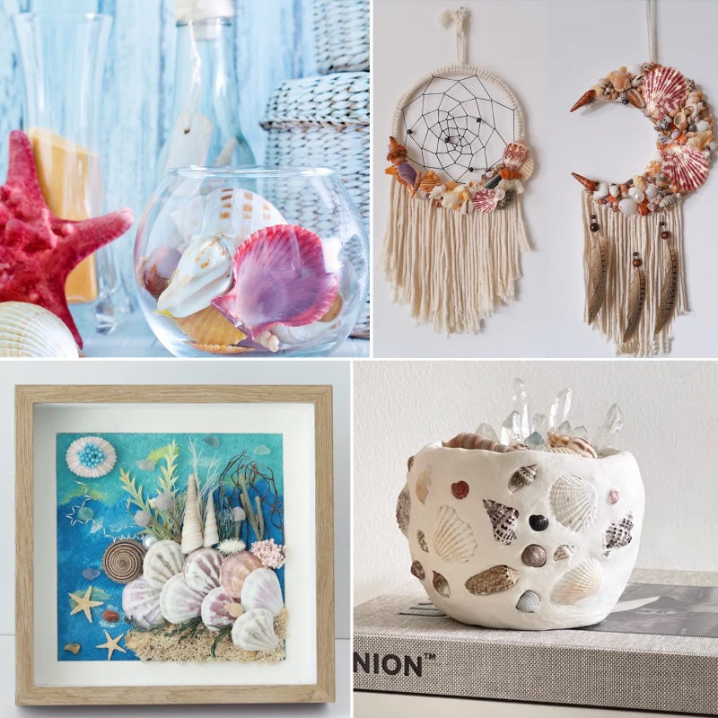 Lucky Baby Scallop Shell Natural Seashell from Sea Beach for DIY Crafts Decor for Wedding Decor Beach Theme Party, Home Decorations, Fish Tank 1 Box (50 pcs)â€¦ - Image 3