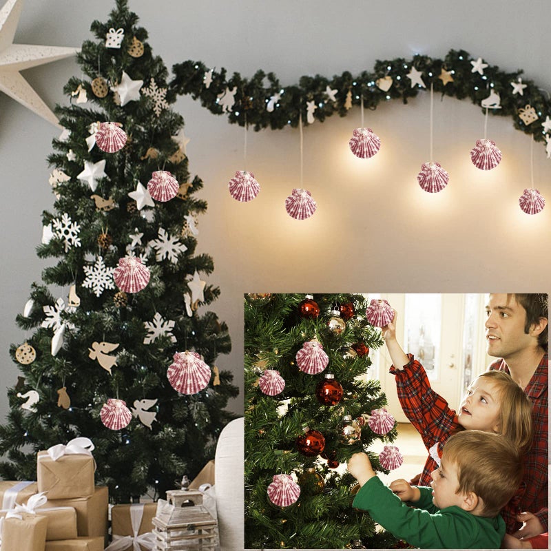 Lucky Baby Scallop Shell Natural Seashell from Sea Beach for DIY Crafts Decor for Wedding Decor Beach Theme Party, Home Decorations, Fish Tank 1 Box (50 pcs)â€¦ - Image 5