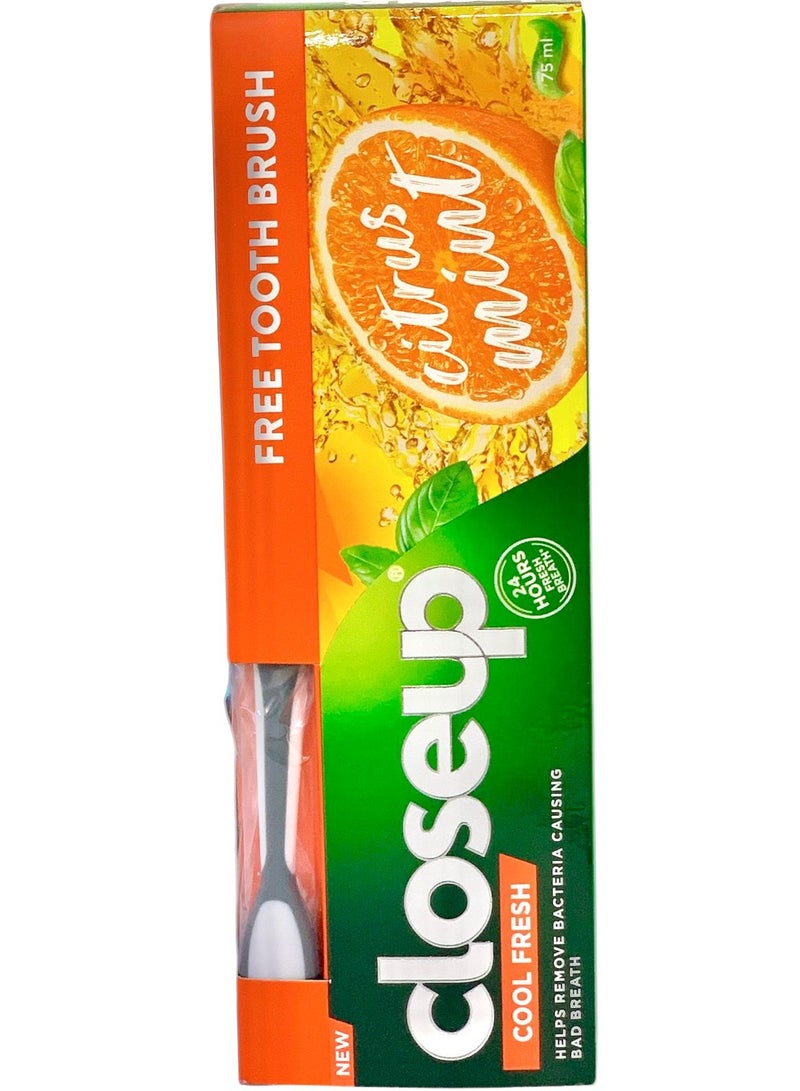 كلوز أب معجون أسنان كلين فريش بنكهة الحمضيات والنعناع 75 مل + فرشاة أسنان مجانية