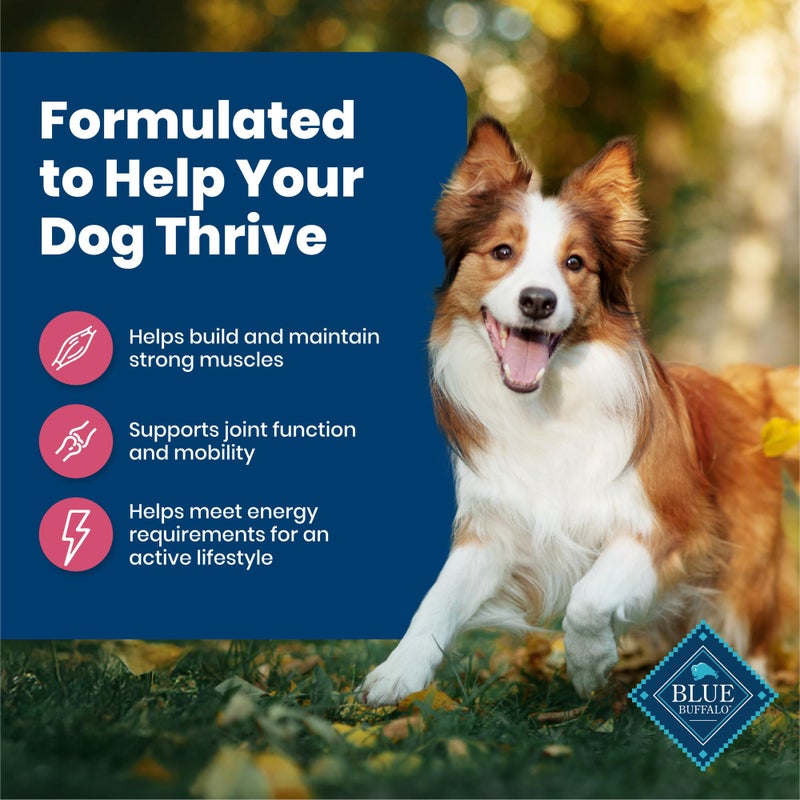 Blue Buffalo Life Protection Formula Adult Dry Dog Food, Helps Build and Maintain Strong Muscles, Made with Natural Ingredients, Salmon & Brown Rice Recipe, 15-lb. Bag - Image 4