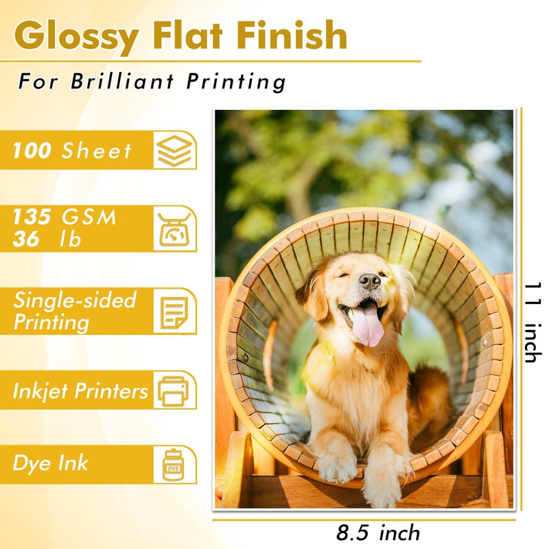 KOALA PAPER ورق طابعة نفاثة رقيق لامع من كوالا لحقائب الشيبس DIY وكتيبات الطباعة 8.5x11 بوصة 100 ورقة 36LB للاستخدام مع طابعات نفاثة الحبر، حبر صبغي - Image 2