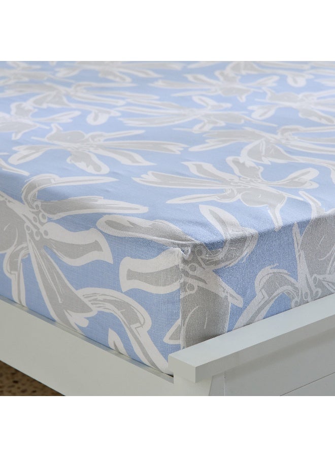 Home Box Malta-Evelyn Printed Cotton King Fitted Sheet - 180x200+33 cm - Image 1