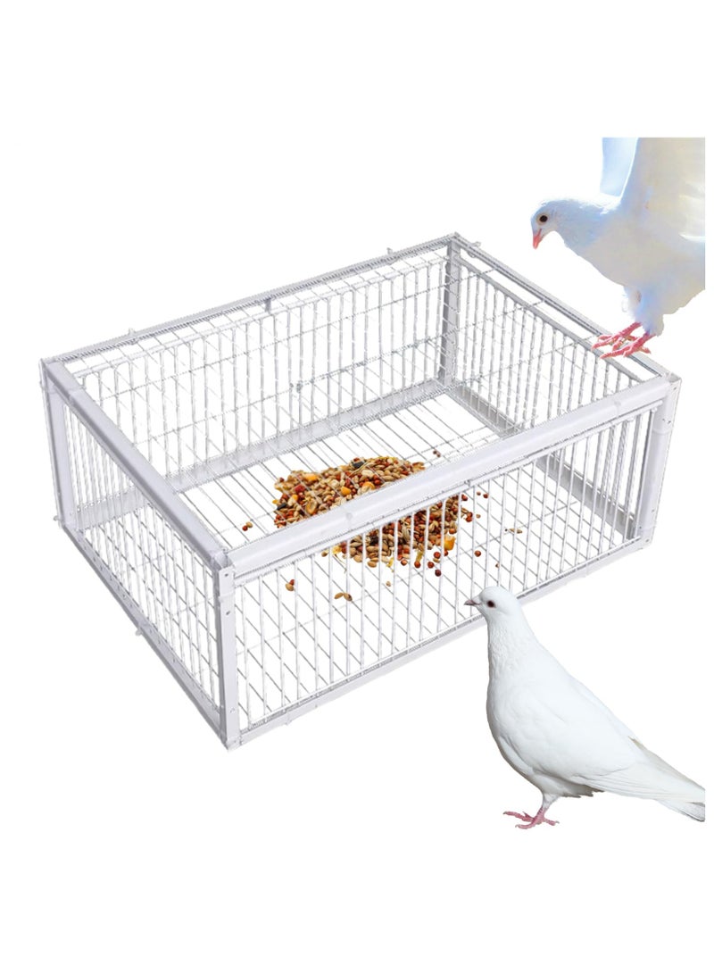Pigeons Cage | Automatic Escape Proof Bird Traps for Pigeons,Easy To Clean Pet Supplies With 4 Entrances for Sparrow Cockatiels Conures Budgies Parrot Parakeet - Image 1