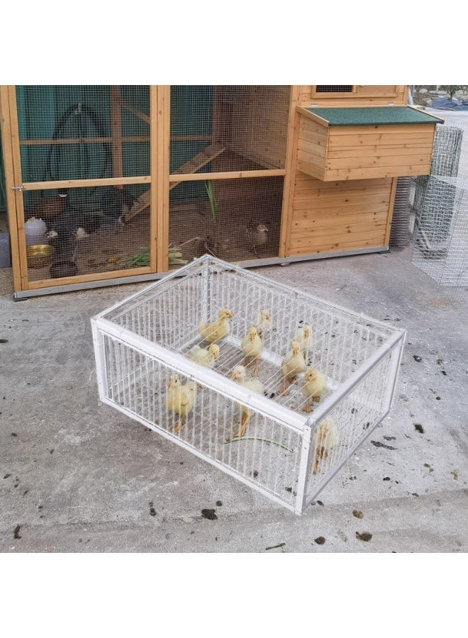 Pigeons Cage | Automatic Escape Proof Bird Traps for Pigeons,Easy To Clean Pet Supplies With 4 Entrances for Sparrow Cockatiels Conures Budgies Parrot Parakeet - Image 5