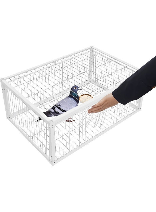 Pigeon Trap Cage with 4-Way Entry, Escape-Resistant Metal Bird Catcher Cage, Easy to Clean Live Bird Cage for Pigeons, Doves, Sparrows, Quails, Finches, Parakeets & Small Birds, White, 40 × 30 × 26 cm - Image 1