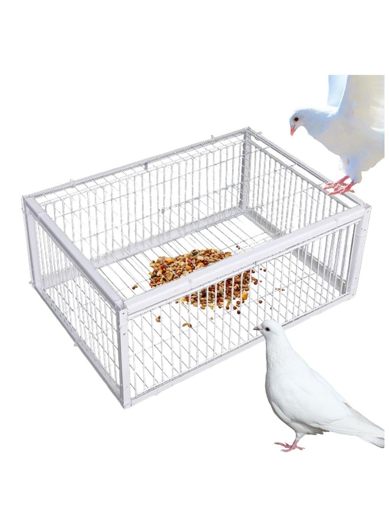 Pigeon Trap Cage with 4-Way Entry, Escape-Resistant Metal Bird Catcher Cage, Easy to Clean Live Bird Cage for Pigeons, Doves, Sparrows, Quails, Finches, Parakeets & Small Birds, White, 40 × 30 × 26 cm - Image 2