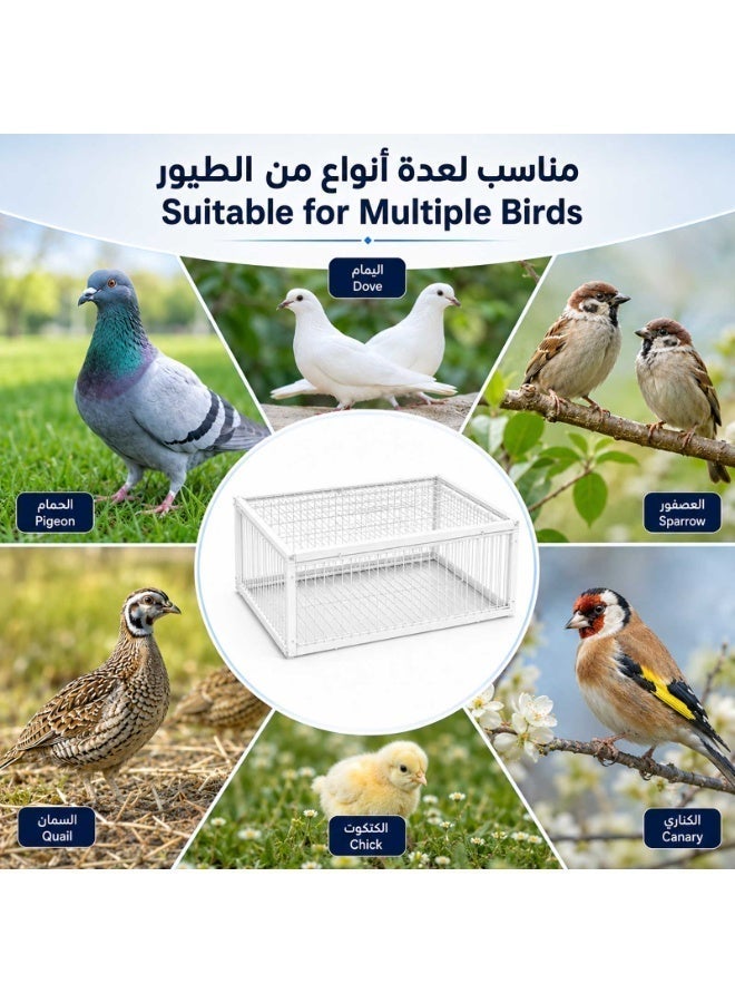 Pigeon Trap Cage with 4-Way Entry, Escape-Resistant Metal Bird Catcher Cage, Easy to Clean Live Bird Cage for Pigeons, Doves, Sparrows, Quails, Finches, Parakeets & Small Birds, White, 40 × 30 × 26 cm - Image 4