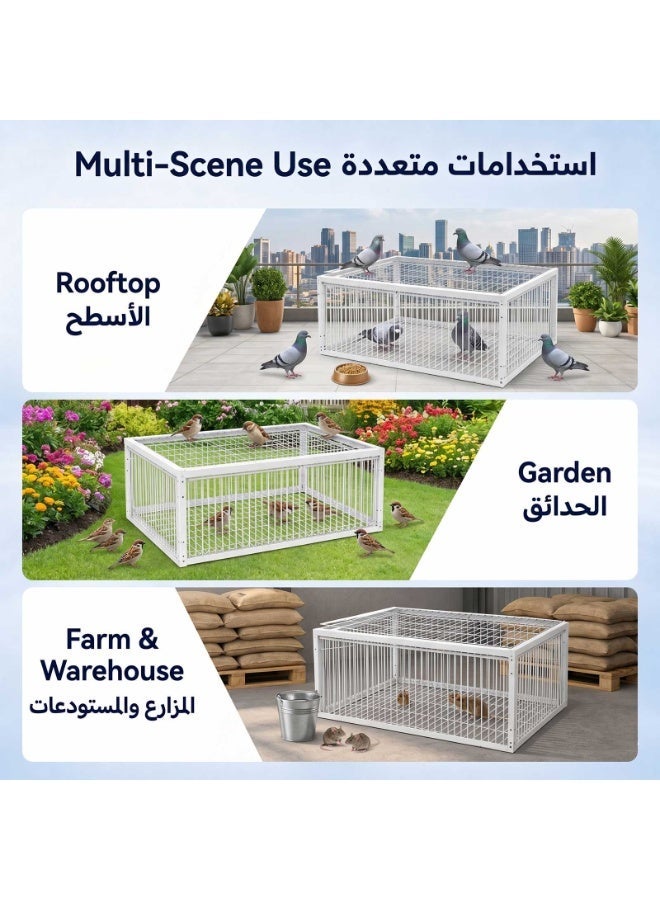 Pigeon Trap Cage with 4-Way Entry, Escape-Resistant Metal Bird Catcher Cage, Easy to Clean Live Bird Cage for Pigeons, Doves, Sparrows, Quails, Finches, Parakeets & Small Birds, White, 40 × 30 × 26 cm - Image 5