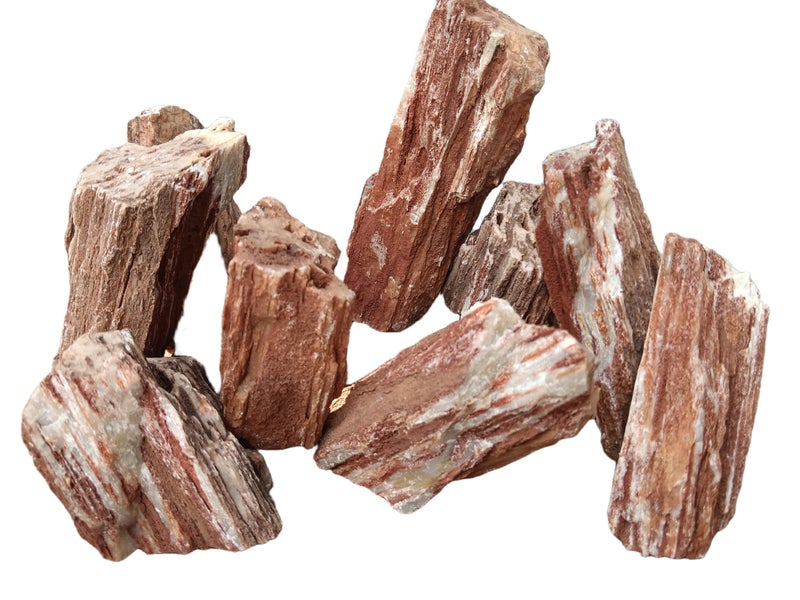 RUKDA Redwood Petrified Stone for Aquarium & Garden Decor – Aquascaping Rocks for Fish Tanks, Terrariums, Landscaping & Water Features – Unique Miniature Rock Formation Look (Redwood Rock, 1 Kg) - Image 3